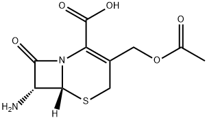 7-ACA(957-68-6)